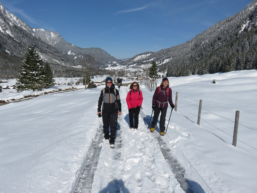 immer geradeaus immer geradeaus