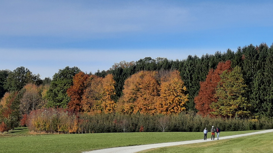 bei Nassenbeuren