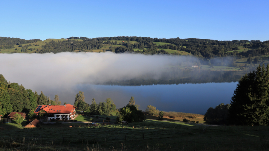 Blick auf den Alpsee der teilweise noch im Nebel war 