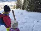 Winterspurensuche Winterspurensuche