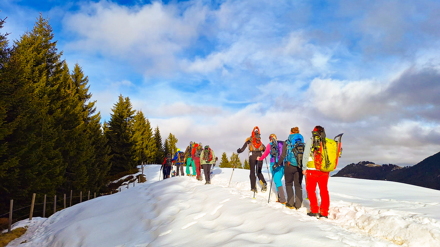 Auf dem Pfeifferberg angekommen