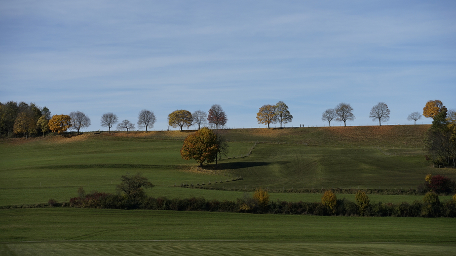 Landschaft bei Doldenhausen