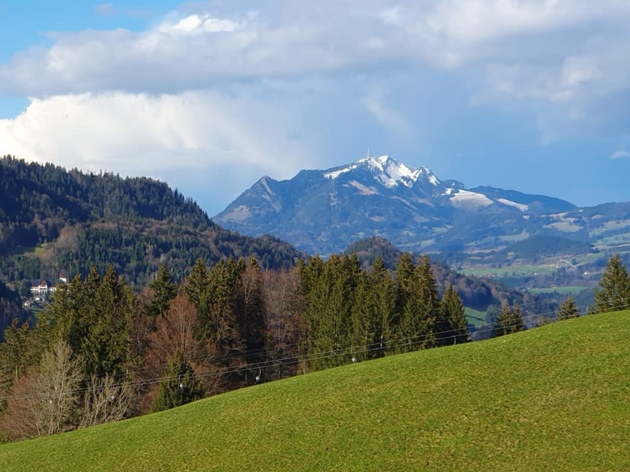 Frühling am Grünten